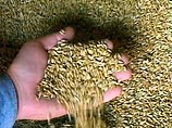Кроме того, в Бурятии будет создан стабилизационный фонд зерна. Из бюджета в качестве помощи агрофирмам выделят 10 миллионов рублей