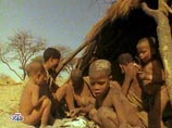 ООН: 854 млн человек каждый вечер ложатся спать голодными ООН: 854 млн человек каждый вечер ложатся спать голодными