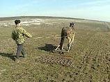 Доверенные лица "Единой России" обвинили Грызлова во лжи и уличили в популизме Доверенные лица "Единой России" обвинили Грызлова во лжи и уличили в популизме