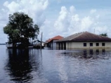 В Коста-Рике объявлено чрезвычайное положение в связи с наводнениями