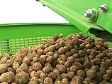 ООН провозгласила 2008 год Международным годом картофеля