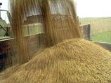 Омская область зафиксировала отпускные цены на зерно и выделила его хлебопекарням