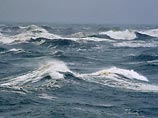 Результаты исследования в северных районах Атлантики, длившегося десять лет, показали, что количество CO2, поглощенного океаном с середины 90-х до 2005 года, сократилось вдвое