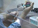 Польша отказалась впустить российских специалистов для экспертизы сельхозпродукции Польша отказалась впустить российских специалистов для экспертизы сельхозпродукции