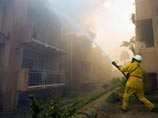 
На юге Калифорнии из-за пожаров эвакуированы 265 тысяч человек, сгорело более 600 домов