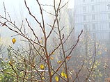 В Москве ожидается до 8 градусов тепла В Москве ожидается до 8 градусов тепла