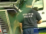 Через два часа после побега машина была обнаружена недалеко от города Брен-ле-Шато, сообщает РИА "Новости". Через два часа после побега машина была обнаружена недалеко от города Брен-ле-Шато, сообщает РИА "Новости".