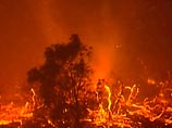 Всего за 7 дней пожаров в Калифорнии выгорело более 200 тысяч гектаров леса, были сожжены 2300 зданий, в том числе - 1700 жилых домов.