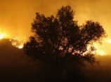 Десятилетнему ребенку, нечаянно устроившему лесной пожар в Калифорнии, грозит до трех лет тюрьмы
