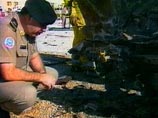 В Саудовской Аравии вору публично отрубили руку В Саудовской Аравии вору публично отрубили руку
