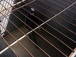 Белоруссия создает банк данных о лицах, которым запрещен выезд за границу Белоруссия создает банк данных о лицах, которым запрещен выезд за границу
