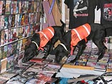 Лабрадоры Лаки и Фло - единственные в мире собаки, которые способны учуять спрятанный CD или DVD.