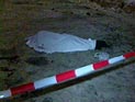 Павел Дуров назвал Сноудена своим героем и отверг обвинения в поддержке джихадистов Павел Дуров назвал Сноудена своим героем и отверг обвинения в поддержке джихадистов