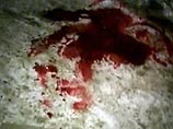 В Ингушетии убит начальник транспортной милиции республики В Ингушетии убит начальник транспортной милиции республики
