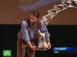Ученые представили миру нигерзавра, питавшегося "как пылесос" Ученые представили миру нигерзавра, питавшегося "как пылесос"