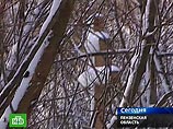 Пензенская епархия пытается убедить сектантов не доводить до самосожжения Пензенская епархия пытается убедить сектантов не доводить до самосожжения