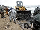 Врачи озабочены безопасностью людей, убирающих мазут в Керченском проливе Врачи озабочены безопасностью людей, убирающих мазут в Керченском проливе