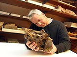 В Британии палеонтолог нашел кость в ящике стола кость неизвестного ранее динозавра