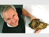 В Британии палеонтолог нашел в ящике стола кость неизвестного ранее динозавра