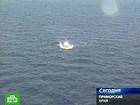 В Японском море прекращен активный поиск пропавшего россиянина-члена экипажа затонувшего лесовоза "Кастор-1"