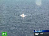 В Японском море прекращен активный поиск пропавшего россиянина-члена экипажа затонувшего лесовоза "Кастор-1" В Японском море прекращен активный поиск пропавшего россиянина-члена экипажа затонувшего лесовоза "Кастор-1"