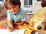 В России растет число отцов, которым суды оставляют детей после развода В России растет число отцов, которым суды оставляют детей после развода