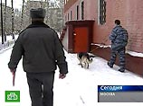 Австралийка отправила за новым iPhone робота телеприсутствия, который стал третьим в длинной очереди Австралийка отправила за новым iPhone робота телеприсутствия, который стал третьим в длинной очереди