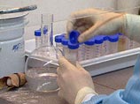 С походом в поликлинику россияне рискуют подхватить вирусы гепатитов B и С