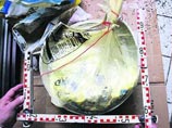 В Германии мать за три года убила трех дочерей, женщина арестована В Германии мать за три года убила трех дочерей, женщина арестована