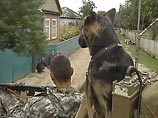 На Северном Кавказе остаются еще до 700 боевиков, но терактов стало меньше На Северном Кавказе остаются еще до 700 боевиков, но терактов стало меньше