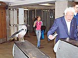 Ученые выяснили, почему животные в Москве становятся "мутантами" Ученые выяснили, почему животные в Москве становятся "мутантами"