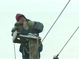 Жители московского района Митино вышли на пикет, требуя прекратить строительство ЛЭП Жители московского района Митино вышли на пикет, требуя прекратить строительство ЛЭП