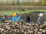 И здравоохранение, и АПК, и жилищная отрасль будут оставаться приоритетными направлениями И здравоохранение, и АПК, и жилищная отрасль будут оставаться приоритетными направлениями