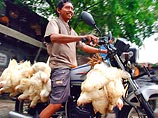 В Индонезии скончалась очередная, 94-я жертва птичьего гриппа