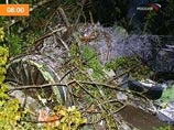 Кандидата в президенты США Джеба Буша смутили часы Apple Watch, неожиданно заговорившие с ним (ВИДЕО) Кандидата в президенты США Джеба Буша смутили часы Apple Watch, неожиданно заговорившие с ним (ВИДЕО)