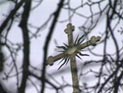 Французская пресса посочувствовала россиянам, доведенным до банкротства валютной ипотекой Французская пресса посочувствовала россиянам, доведенным до банкротства валютной ипотекой