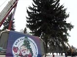 В этом году лесную красавицу привезли из Подмосковья, восстановив тем самым традицию времен Петра Первого, когда рождественские ели доставлялись в Кремль из близлежащих лесов
