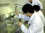 Спорт, диета и отказ от вредных привычек могут продлить жизнь на 14 лет Спорт, диета и отказ от вредных привычек могут продлить жизнь на 14 лет