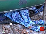 По данным краевого МЧС, автобус опрокинулся на правый бок, избегая лобового столкновения с встречным транспортом - авария произошла по вине водителя встречной грузовой машины, у которой не были закреплены борта По данным краевого МЧС, автобус опрокинулся на правый бок, избегая лобового столкновения с встречным транспортом - авария произошла по вине водителя встречной грузовой машины, у которой не были закреплены борта