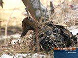 Концентрация нефтепродуктов в реке Клязьма из-за аварии на заводе в подмосковном Королеве не превышает предельно допустимую норму, сообщает МЧС Концентрация нефтепродуктов в реке Клязьма из-за аварии на заводе в подмосковном Королеве не превышает предельно допустимую норму, сообщает МЧС