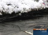 Утечка мазута в Подмосковье может привести к экологической катастрофе. МЧС не согласна с экологами Утечка мазута в Подмосковье может привести к экологической катастрофе. МЧС не согласна с экологами