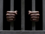 Полиция трех земель ФРГ провела операцию против преступной группировки, нелегально ввезшей 165 вьетнамцев в Европу Полиция трех земель ФРГ провела операцию против преступной группировки, нелегально ввезшей 165 вьетнамцев в Европу