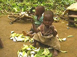 Эпидемия холеры на юге Конго: 13 человек погибли, более 550 человек заражены