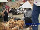 Во Вьетнаме зафиксирован 48 случай смерти человека от птичьего гриппа