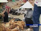 Во Вьетнаме зафиксирован 48 случай смерти человека от птичьего гриппа Во Вьетнаме зафиксирован 48 случай смерти человека от птичьего гриппа