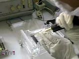 Калифорнийские ученые на основе грибка создали генетически-модифицированный живой организм, способный жить в 10 раз дольше, чем ему положено Калифорнийские ученые на основе грибка создали генетически-модифицированный живой организм, способный жить в 10 раз дольше, чем ему положено
