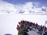 Антарктиде, до недавних пор считавшейся последним бастионом нетронутой природы нашей планеты, угрожает нашествие чужеродных организмов. Экологическую катастрофу могут спровоцировать инородные насекомые, микробы и растения