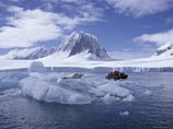 Ученые и туристы, которых становится все больше, сами того не желая, завозят в Антарктику споры, семена и насекомых, способных уничтожить нетронутую экосистему