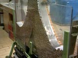 Ряд марок сигарет может исчезнуть в России из-за запрета на ввоз табака из Индии Ряд марок сигарет может исчезнуть в России из-за запрета на ввоз табака из Индии