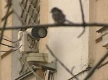 ФСИН: в отдельной палате Алексаняна установлены телевизор и душевая кабина ФСИН: в отдельной палате Алексаняна установлены телевизор и душевая кабина